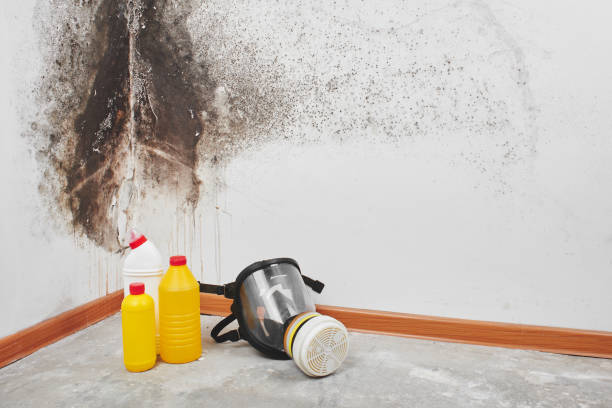 Best Crawl Space Mold Removal  in Grimes, IA
